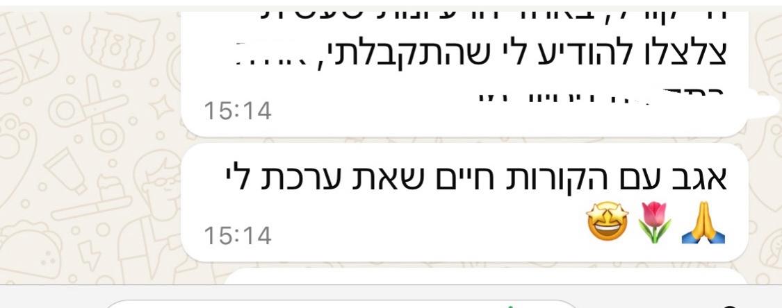 המלצה 13