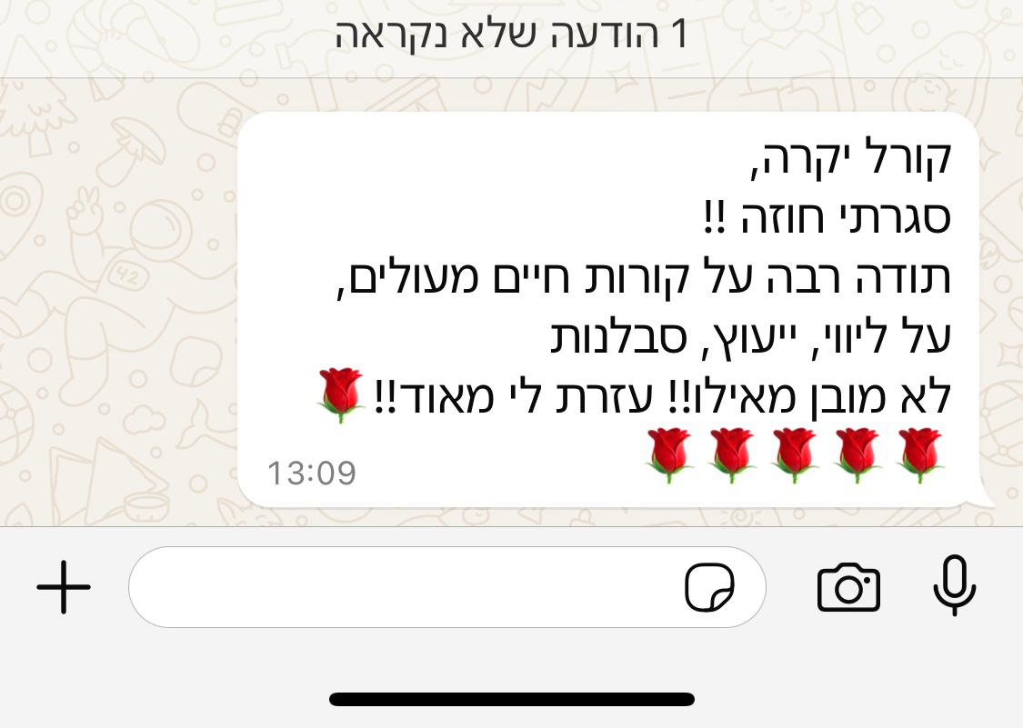 המלצה 3